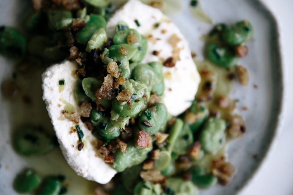 Fresh Ricotta with Broad Beans & Rye Sourdough Breadcrumbs  |  Gather & Feast