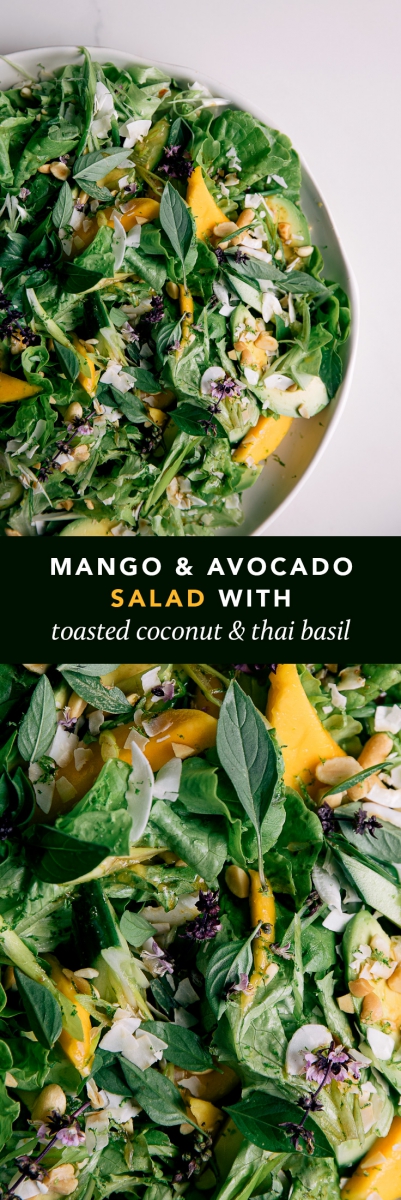Mango & Avocado Salad with Toasted Coconut & Thai Basil  |  Gather & Feast