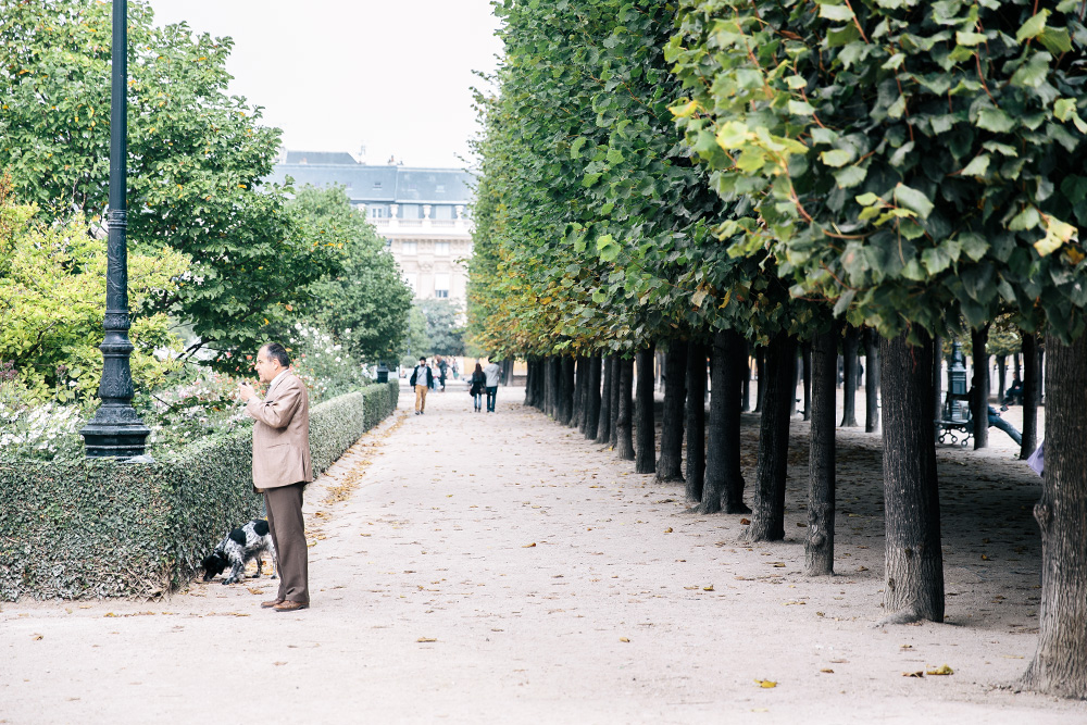 Paris City Guide  |  Gather & Feast