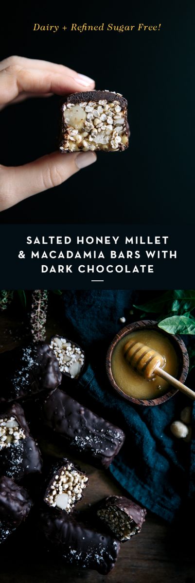 Salted Honey Millet & Macadamia Bars with Dark Chocolate  |  Gather & Feast