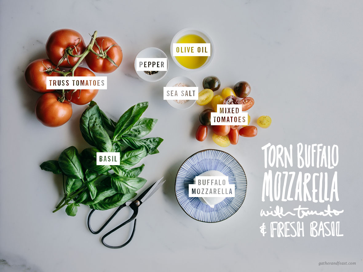 Torn Buffalo Mozzarella with Tomato & Fresh Basil  |  Gather & Feast