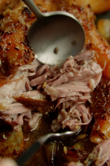 Fennel+Seed+%26+White+Wine+Slow-Cooked+Lamb+Shoulder+with+Garlic+Honey+%7C+Gather+%26+Feast