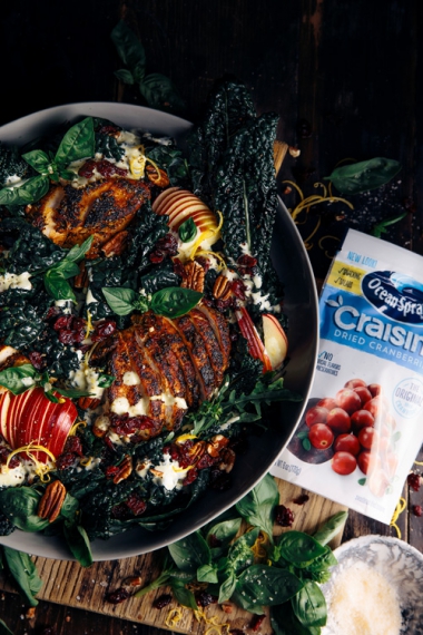 Kale%2C+Apple+%26+Craisins+Dried+Cranberries+Salad+with+Smokey+Chicken+%26+Creamy+Garlic+Yoghurt+Dressing++%7C++Gather+%26+Feast