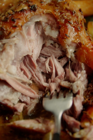Fennel+Seed+%26+White+Wine+Slow-Cooked+Lamb+Shoulder+with+Garlic+Honey+%7C+Gather+%26+Feast
