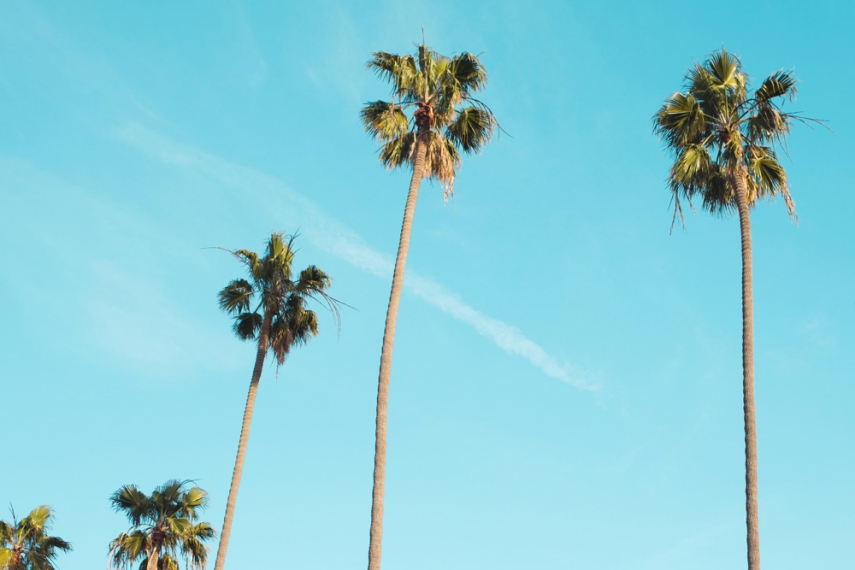 California+Travel+Guide++%7C++Gather+%26+Feast