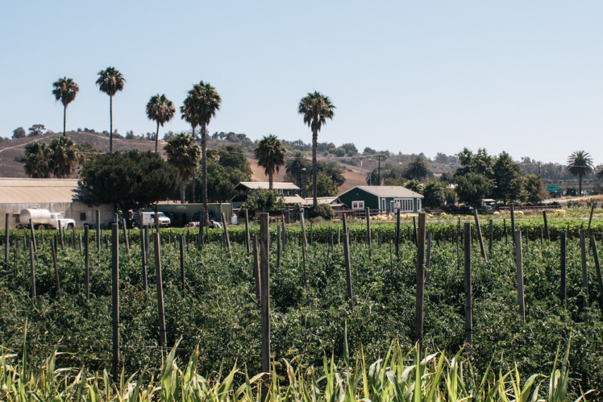 California+Travel+Guide++%7C++Gather+%26+Feast